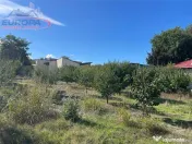 Teren de zona Al cel Bun Tulcea 