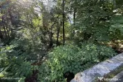 Sinaia - Drumul spre Peles, Teren 580 mp - Front 18 ml, Oportunitate! 
