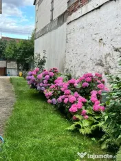 Casă individuală 150mp cu teren 500 mp, zona cartier Bulga 