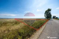 Teren 20,000mp Halchiu / Satul Nou