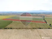 Teren 20,000mp Halchiu / Satul Nou 