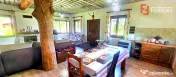 Cabane cu 7 camere de vanzare in Albac 