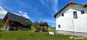 Cabane cu 7 camere de vanzare in Albac 