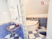 Casa individuala de vanzare in Timisoara cu sauna si piscina