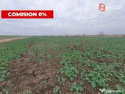 Comision 0% Teren extravilan agricol 21,32 ha sau intravilan 