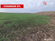 Comision 0% Teren extravilan agricol 21,32 ha sau intravilan 