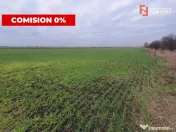 Comision 0% Teren extravilan agricol 21,32 ha sau intravilan 