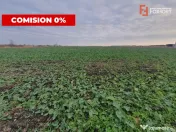 Comision 0% Teren extravilan agricol 21,32 ha sau intravilan 