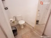 Inchiriere spatiu comercial in zona Dorobantilor