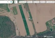 Teren 9247 mp - Ghermanesti - Snagov 
