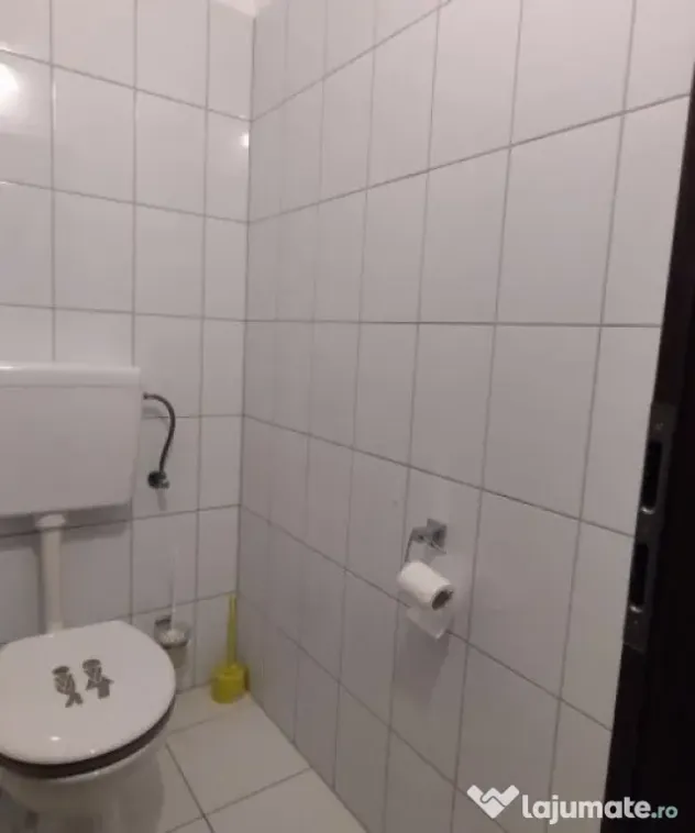 Casa individuala 6 camere, Zona Bucovina - Teren 788 mp - Timisoara (Timis)