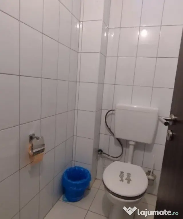 Casa individuala 6 camere, Zona Bucovina - Teren 788 mp - Timisoara (Timis)