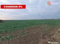 COMISION 0% Teren extravilan 20.000 mp la sosea in Sag