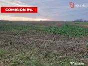 COMISION 0% Teren extravilan 20.000 mp la sosea in Sag