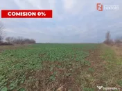 COMISION 0% Teren extravilan 20.000 mp la sosea in Sag