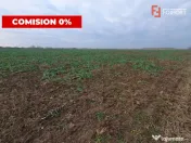COMISION 0% Teren extravilan 20.000 mp la sosea in Sag
