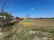Teren 3765 mp, deschidere 32 m, utilități la limită Magurele Campul cu Maci