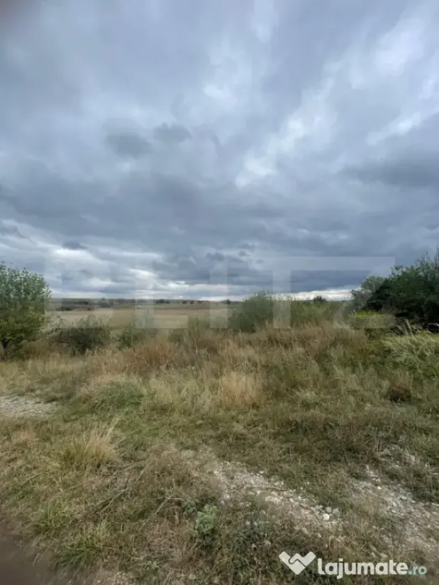 Teren de vanzare, 4.300 mp, zona Cornesti - Mihai Viteazu - Cornesti (Mihai Viteazu) (Cluj)