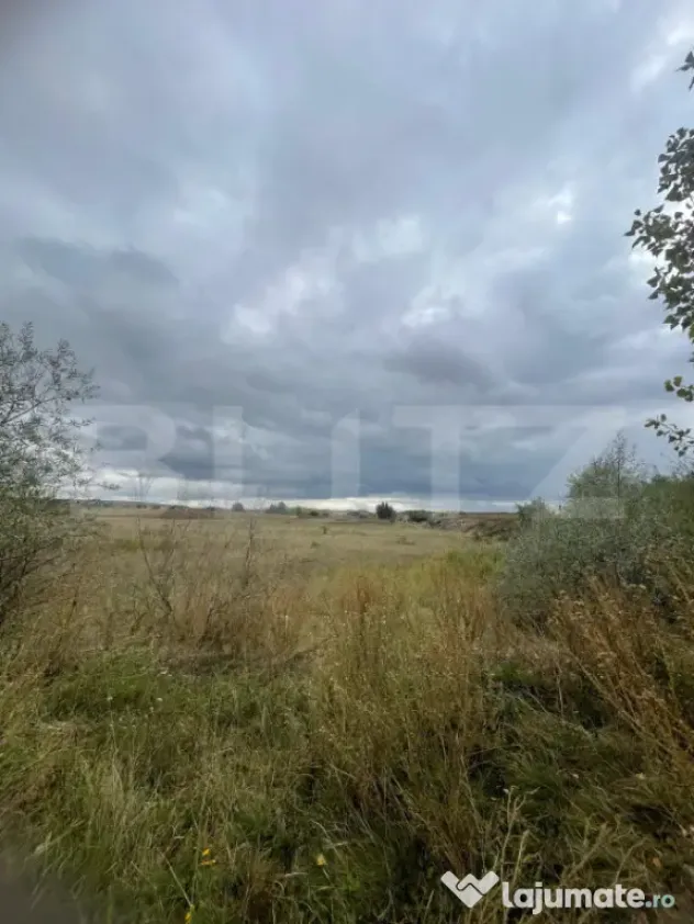 Teren de vanzare, 4.300 mp, zona Cornesti - Mihai Viteazu - Cornesti (Mihai Viteazu) (Cluj)