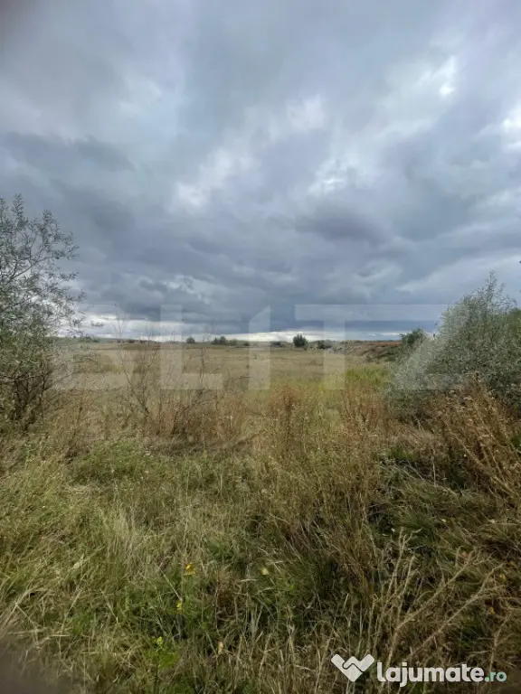 Teren de vanzare, 4.300 mp, zona Cornesti - Mihai Viteazu - Cornesti (Mihai Viteazu) (Cluj)