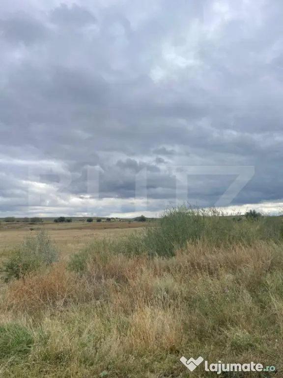 Teren de vanzare, 4.300 mp, zona Cornesti - Mihai Viteazu - Cornesti (Mihai Viteazu) (Cluj)