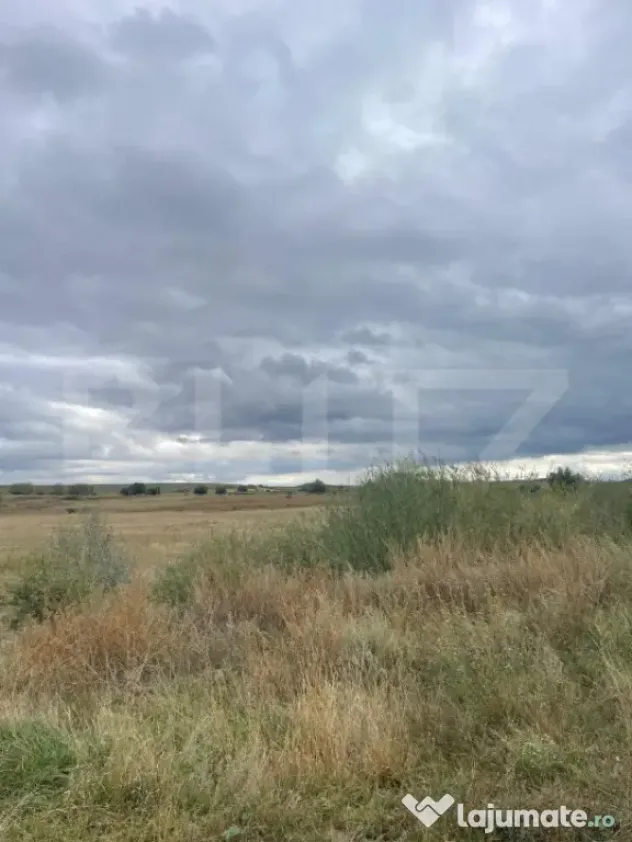 Teren de vanzare, 4.300 mp, zona Cornesti - Mihai Viteazu - Cornesti (Mihai Viteazu) (Cluj)