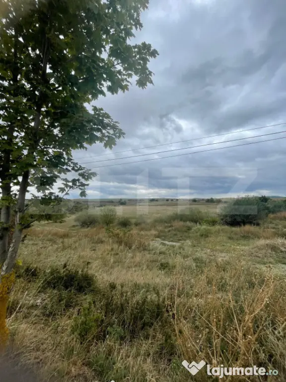 Teren de vanzare, 4.300 mp, zona Cornesti - Mihai Viteazu - Cornesti (Mihai Viteazu) (Cluj)