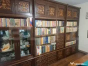 PROPRIETATE DEOSEBITĂ ÎN LUNGULEȚU – CASĂ TIP CONAC, 1