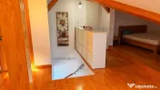 Apartament Duplex Spatios Zona Centrala 