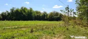 Vila Ialomita -Livedea lac 