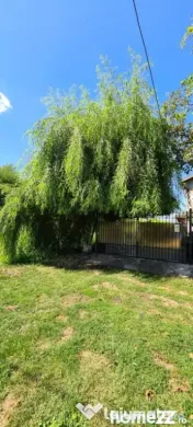 Vila Ialomita -Livedea lac 