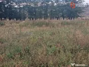 Teren intravilan de 1508 mp cu utilitati - Ianova 
