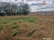Teren intravilan de 1508 mp cu utilitati - Ianova 