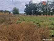 Teren intravilan de 1508 mp cu utilitati - Ianova 