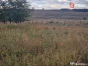 Teren intravilan de 1508 mp cu utilitati - Ianova 