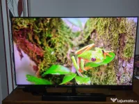 Televizor Samsung QLED 65Q9FN – model premium de top, 65" 4K, 120 Hz,One Connect 