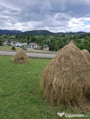Teren de vânzare 