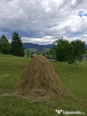 Teren de vânzare 
