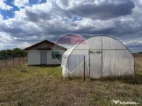 Teren de vânzare | Zalhanaua, Prahova | Oportunitate de Investiție 