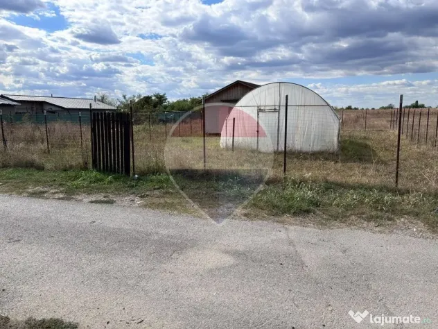 Teren de vânzare | Zalhanaua, Prahova | Oportunitate de Investiție - Zalhanaua (Prahova)