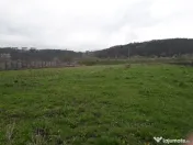 Teren Intravilan - Zona Scheia Intrare 