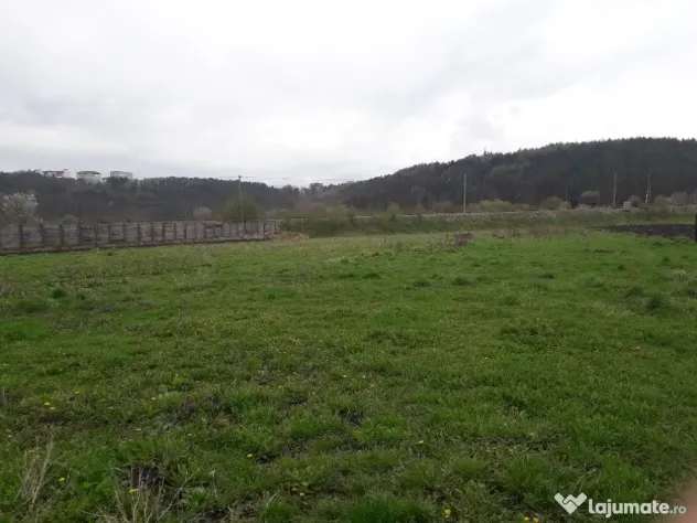 Teren Intravilan - Zona Scheia Intrare - Scheia (Suceava)