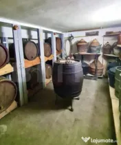 Casa cu 4 camere Ultracentral 