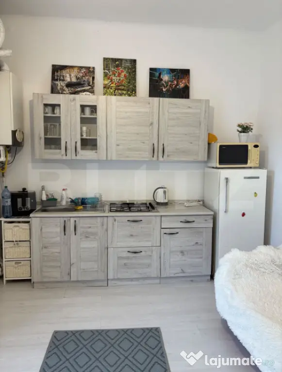 Garsoniera de inchiriat , 29 mp , Centrul Istoric - Brasov (Brasov)