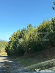 Teren intravilan 2.000 mp – Codlea, zona Geamăna | Parcel 