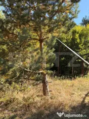 Teren intravilan 2.000 mp – Codlea, zona Geamăna | Parcel 