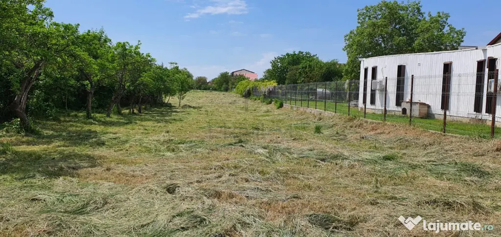 Teren Intravilan - Timisoara - Buziasului - Locuinte Semico - Timisoara (Timis)