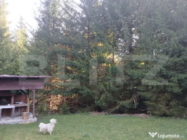 2 Cabane lemn Vadu Negrilesei, 96MP, 1100 MP teren, 45k - Vadu Negrilesei (Suceava)