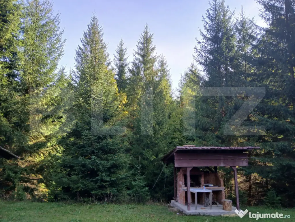 2 Cabane lemn Vadu Negrilesei, 96MP, 1100 MP teren, 45k - Vadu Negrilesei (Suceava)