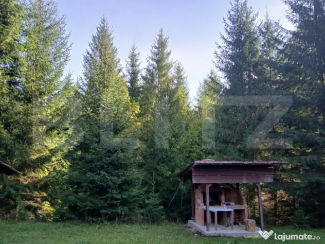 2 Cabane lemn Vadu Negrilesei, 96MP, 1100 MP teren, 45k - Vadu Negrilesei (Suceava)
